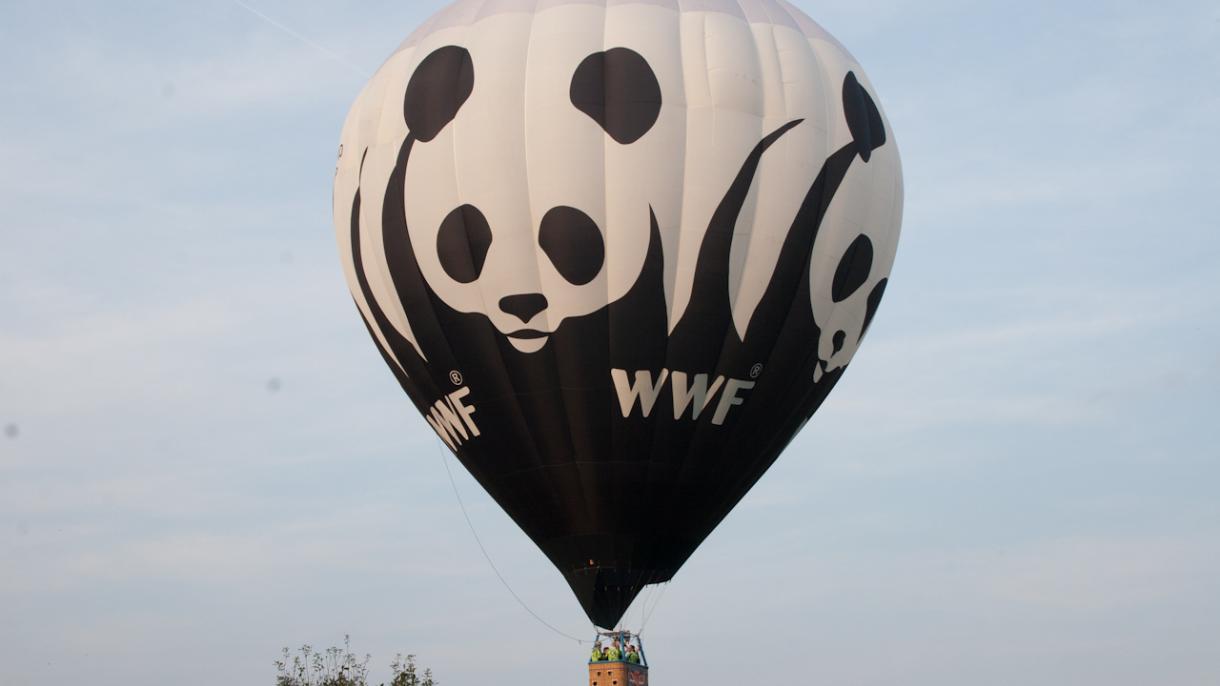 WWF pide a los políticos que se pongan en marcha para la transición energética urgentemente