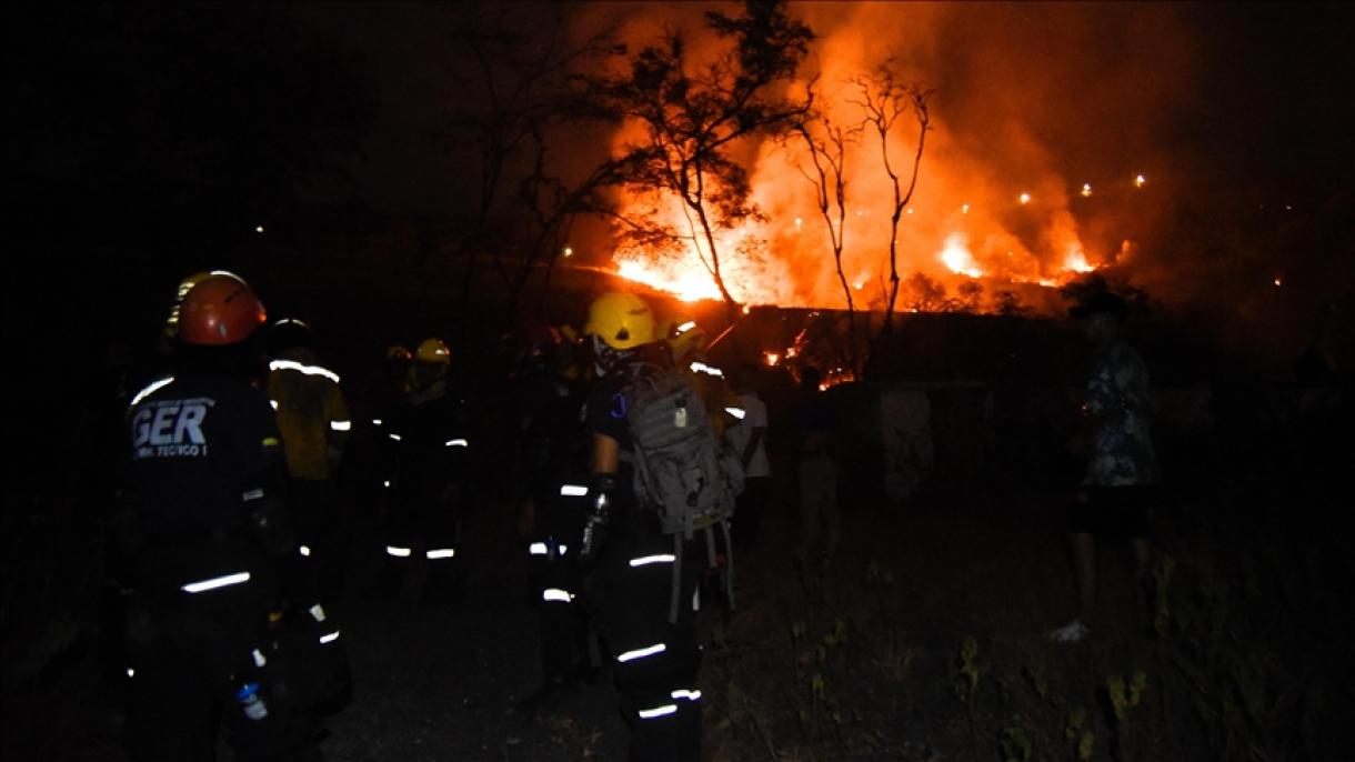 哥伦比亚森林大火仍未得到控制