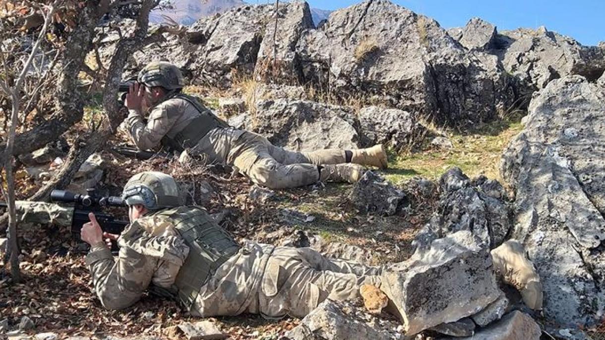 土耳其军队发起“毁灭-8塞黑森林”军事行动