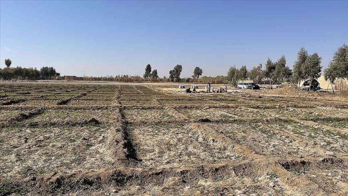 کاهش 95 درصدی تولید و مصرف تریاک در افغانستان