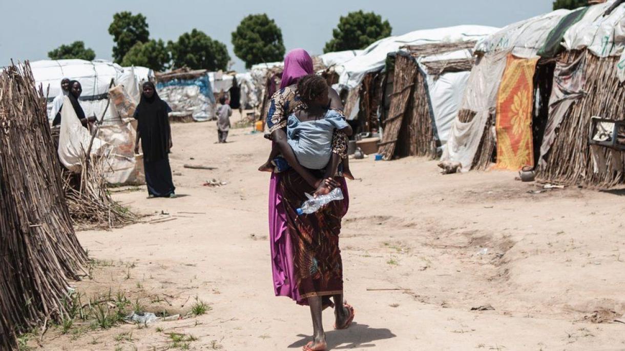 尼日利亚难民营起火：3人死