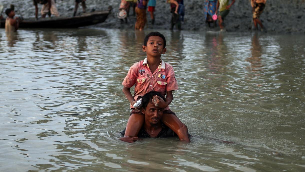 ACNUR: 290 mil rohingyas se refugian en Bangladesh