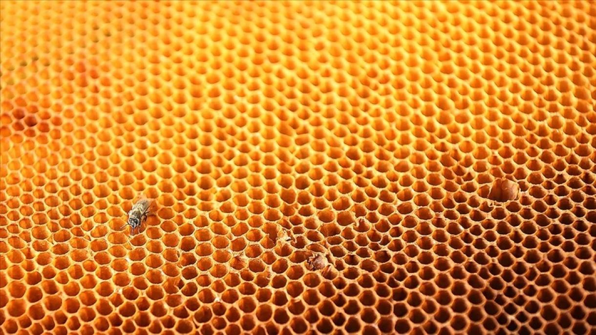 土耳其蜂蜜出口同比增长80%