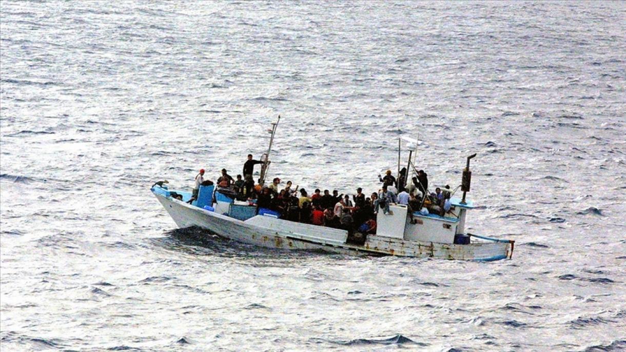 OIM: peste 50 000 de migranți au murit