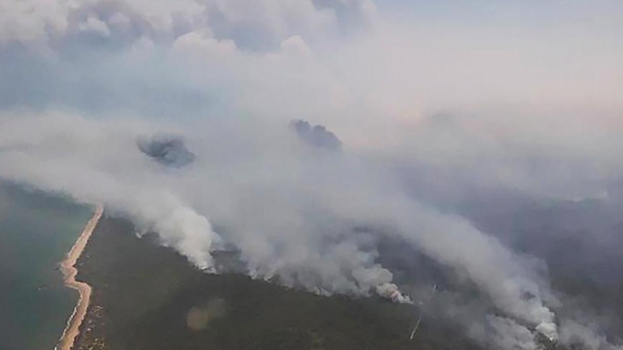 澳州山火肆虐当局敦促居民立即撤离
