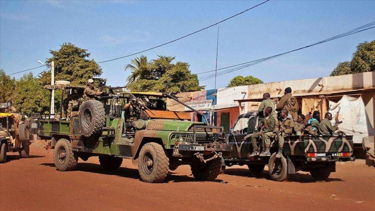 وسطی مالی میں دہشتگردانہ حملے،132 افراد ہلاک