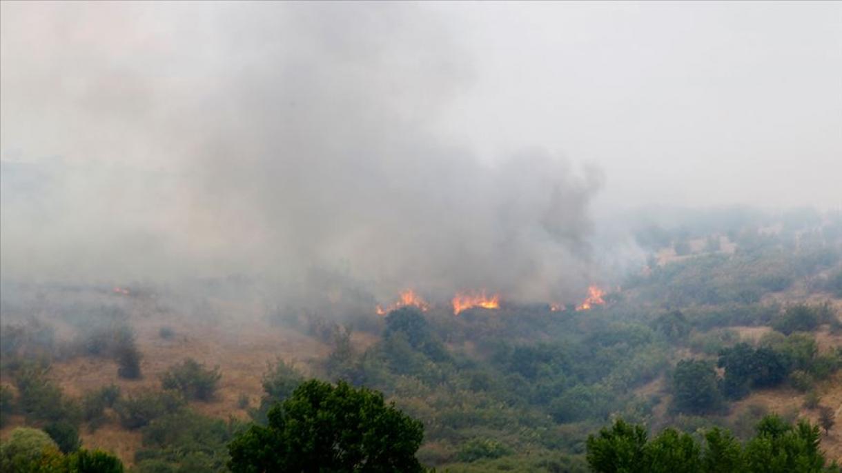 保加利亚持续四天的大火被扑灭