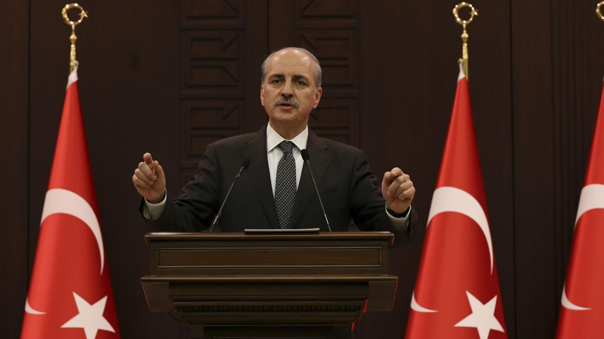 副总理：土耳其不畏惧将继续开展跨境军事行动