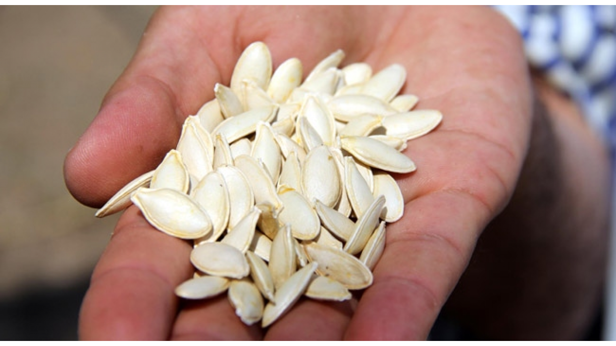 Beneficios de las semillas de calabaza