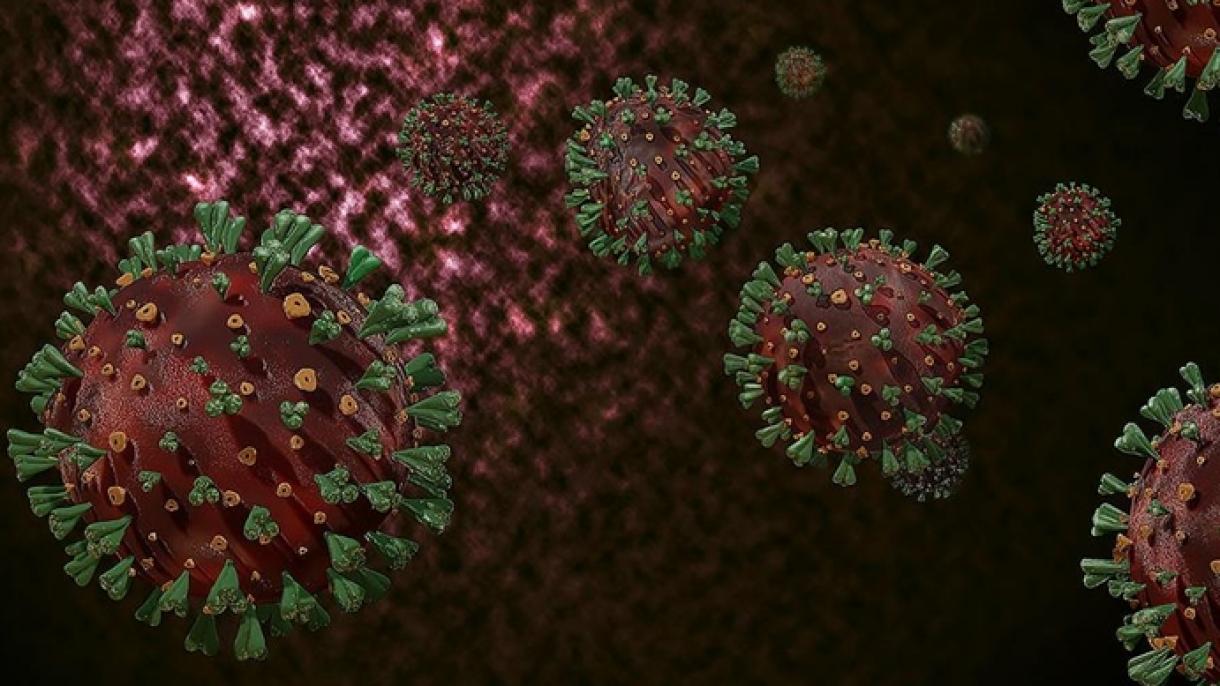 ¿El coronavirus se habría propagado a los humanos de murciélagos a través de otro animal?