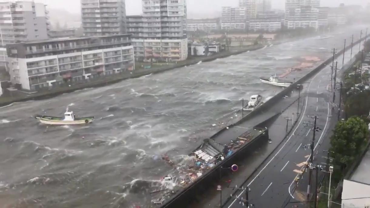最强台风燕子在日本造成11人死亡