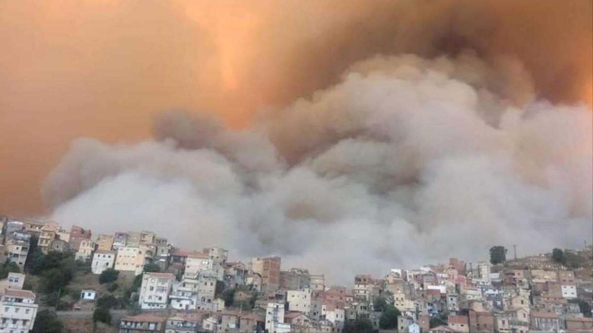 الجزائر میں جنگل کی آگ کی وجہ سے 42 افراد ہلاک