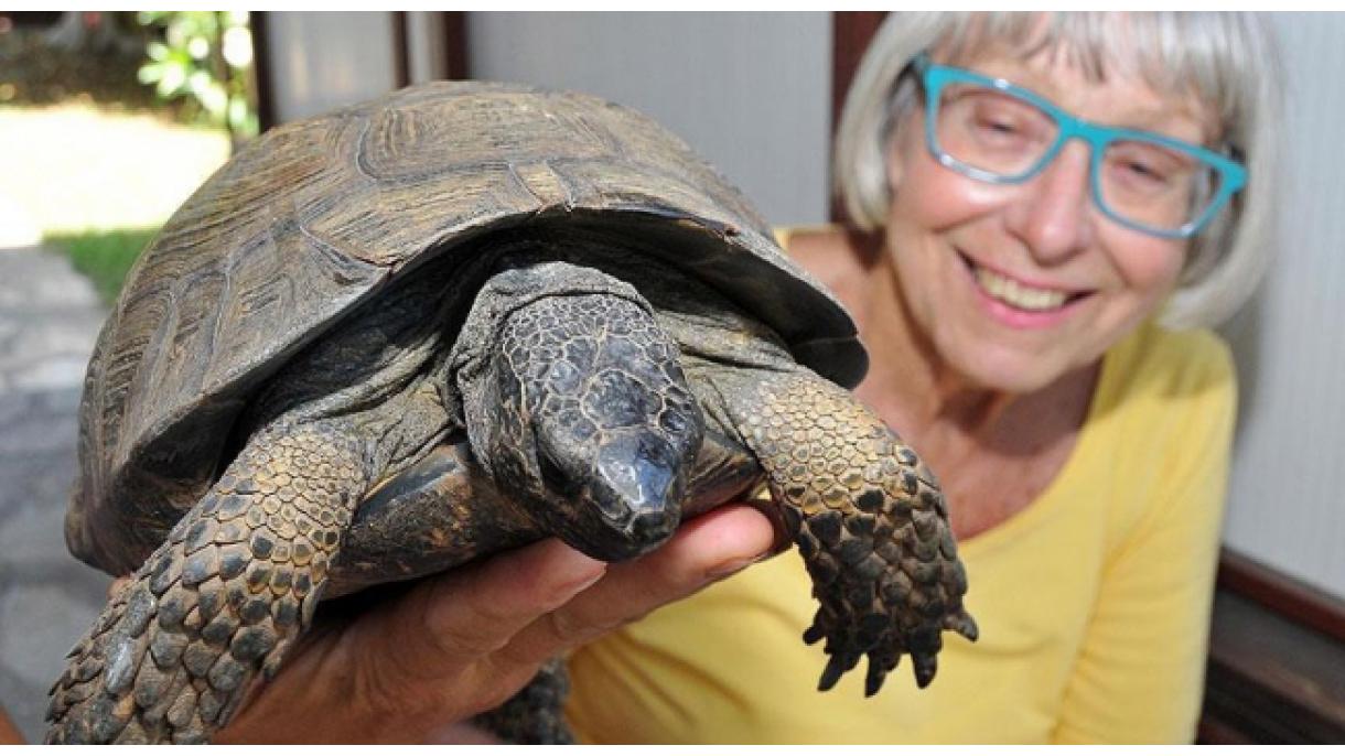 21 éve gondozott teknősétől vált meg