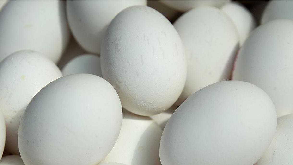 Ovos contaminados também na Dinamarca