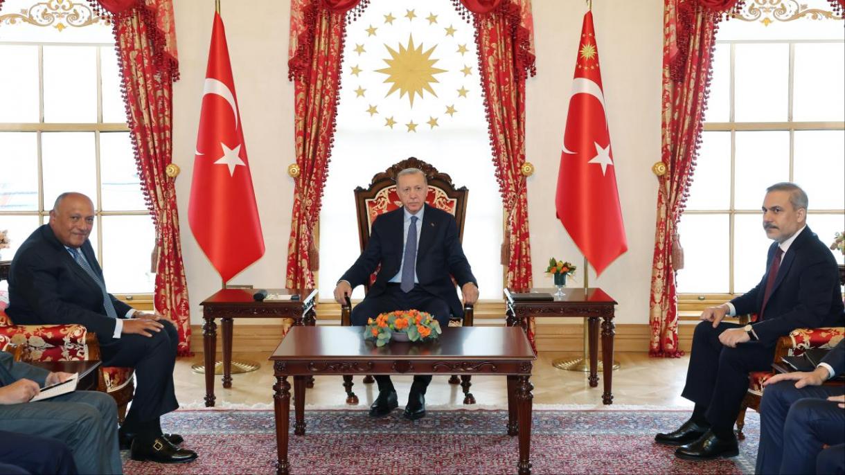 رئیس جمهور ترکیه، وزیر امور خارجه مصر را به حضور پذیرفت