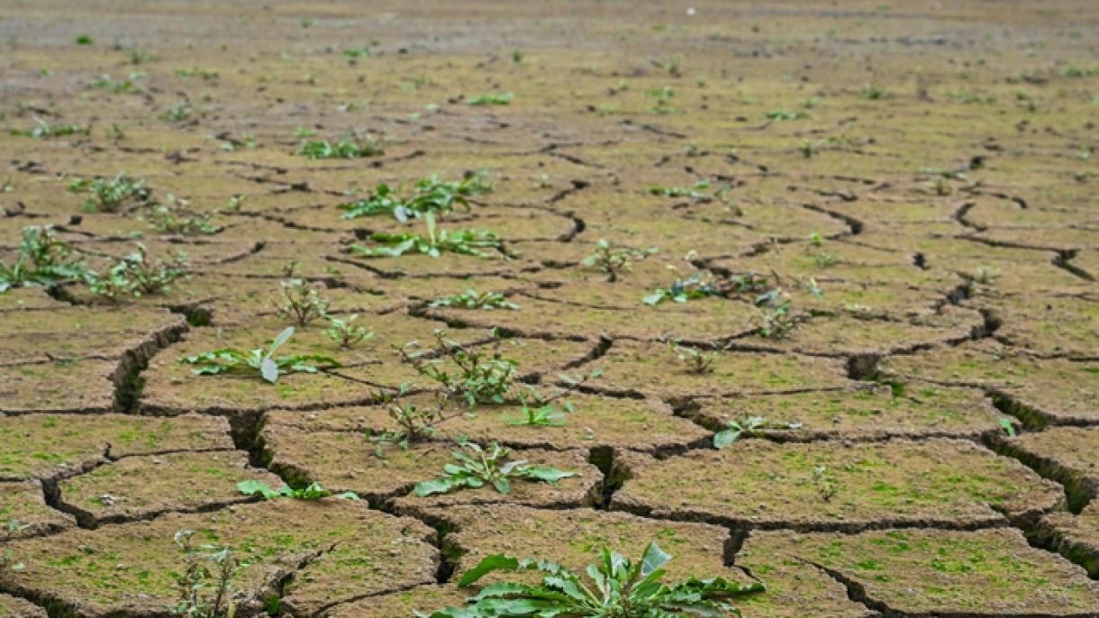Zambia a declarat stare de urgență din cauza secetei