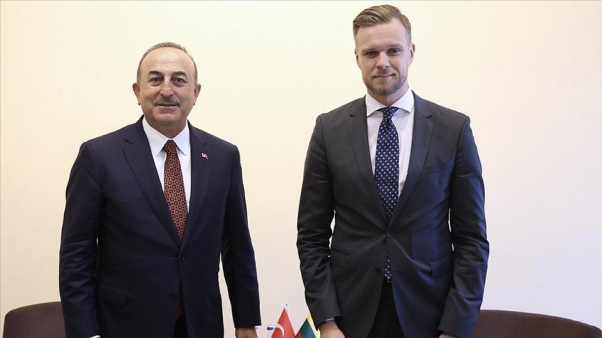 土耳其外长恰乌什欧卢与欧洲数国外长举行会晤