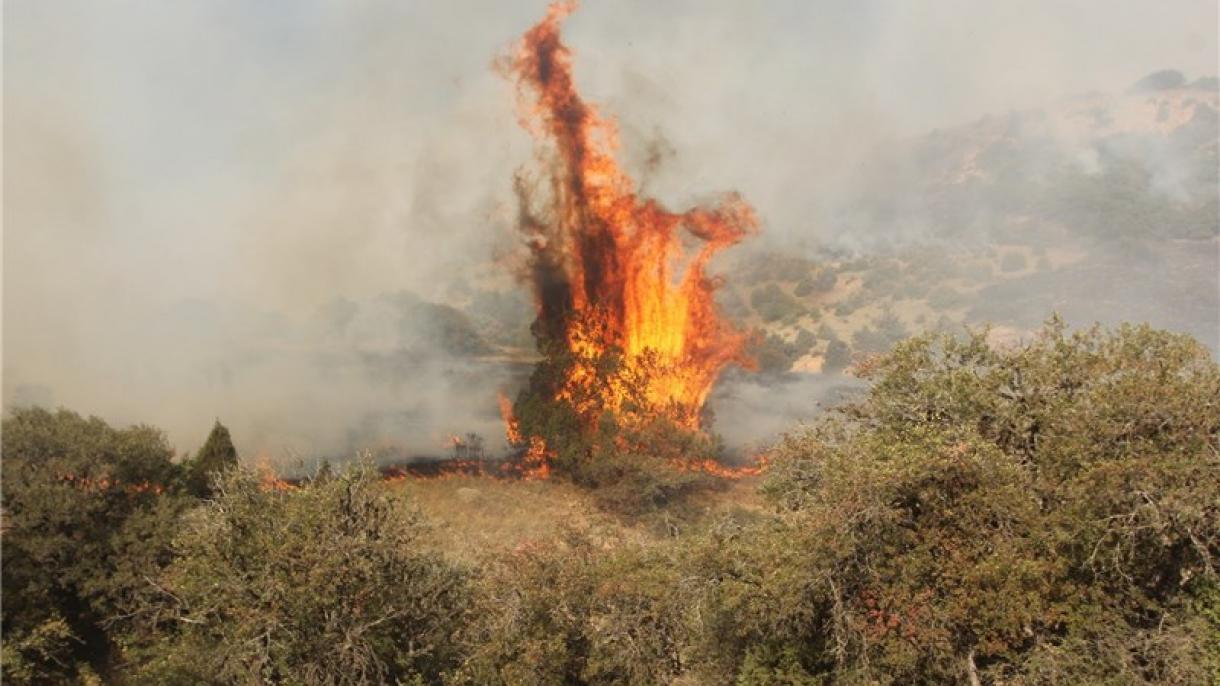 آتش‌سوزی وسیع در پارک ملی استان گلستان ایران