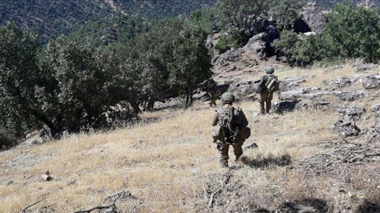 Penje Bürgüt Operasiýasy