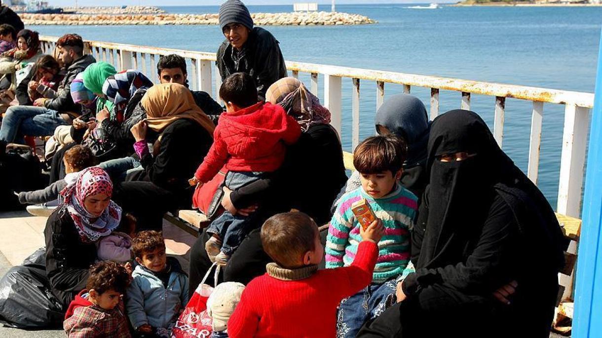 土耳其抓获124名非法移民