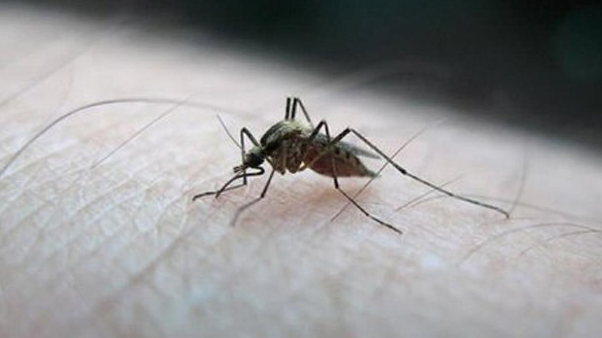Таиландда денге безгеги