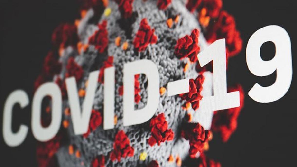 سازمان صحی جهانی: کووید- 19 مانند مرض چیچیک آزمایش همبستگی جهانی است