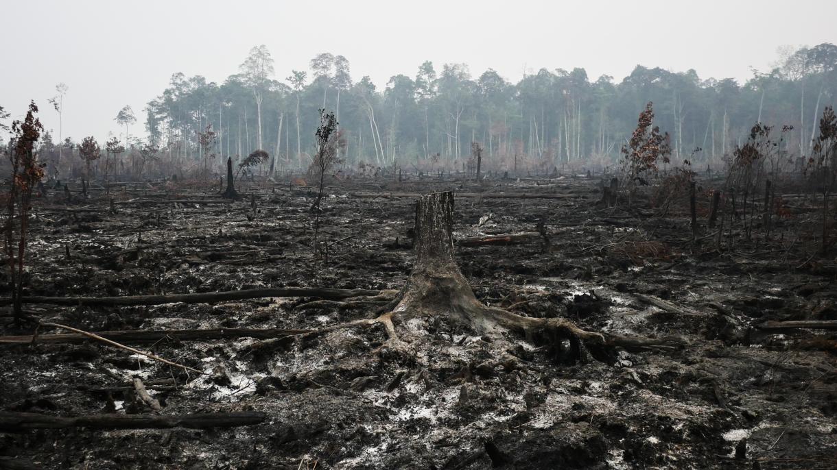 Rendkívüli állapot az erdőtüzek miatt Szumátrán