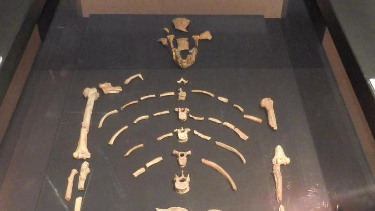 3 million yıllıq xatın-qız skeletı