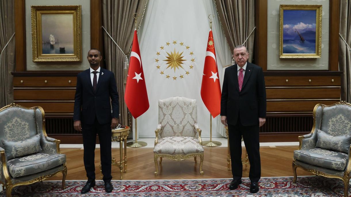رجب طیب اردوغان وزیر عدلیه سومالیا را بحضور پذیرفت