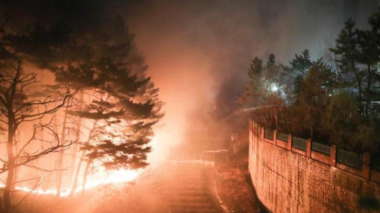 در نتیجه آتش‌سوزی جنگلی در کره جنوبی 90 خانه به خاکستر تبدیل شد