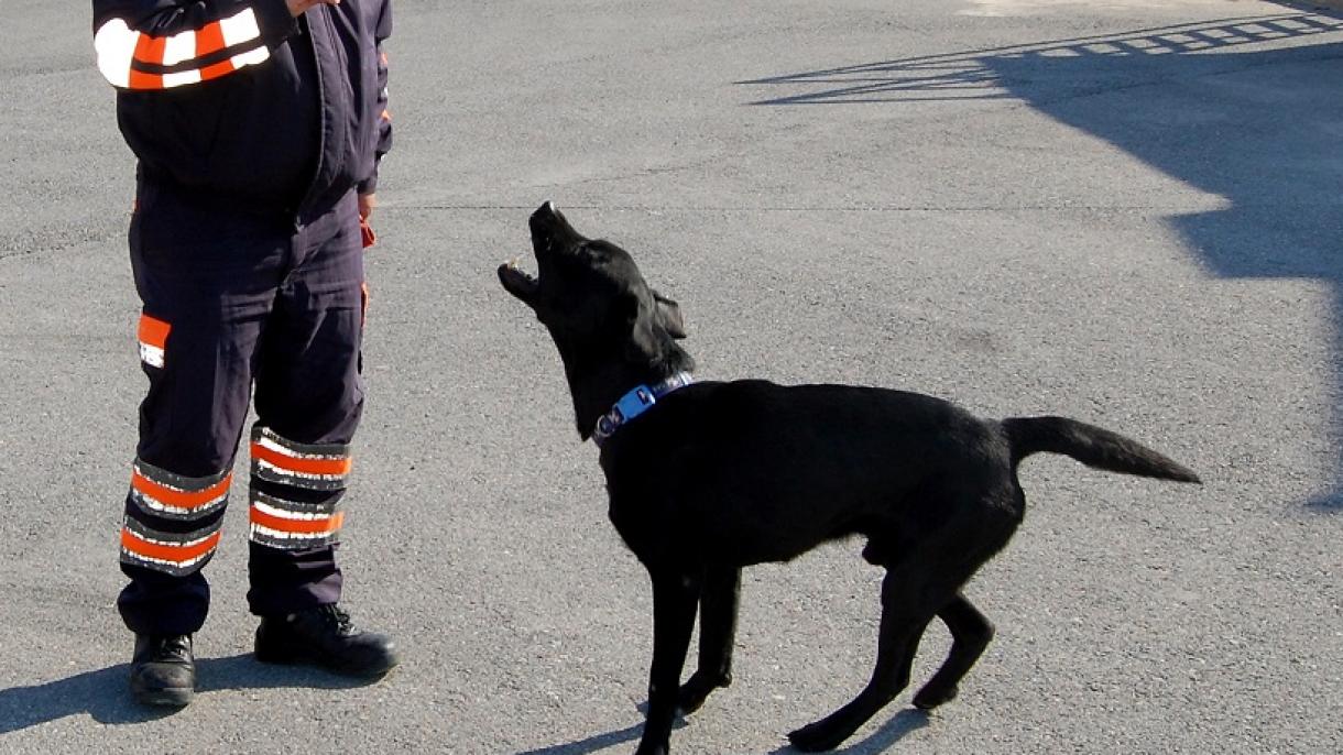 Adiós a ‘Şans’, el perro rescatista héroe del Cuerpo de Bomberos de Izmir