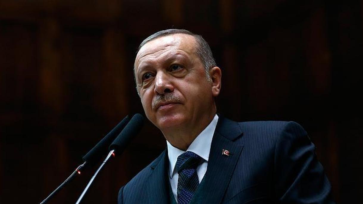 واکنش اردوغان به مخالفین عملیات شاخه زیتون