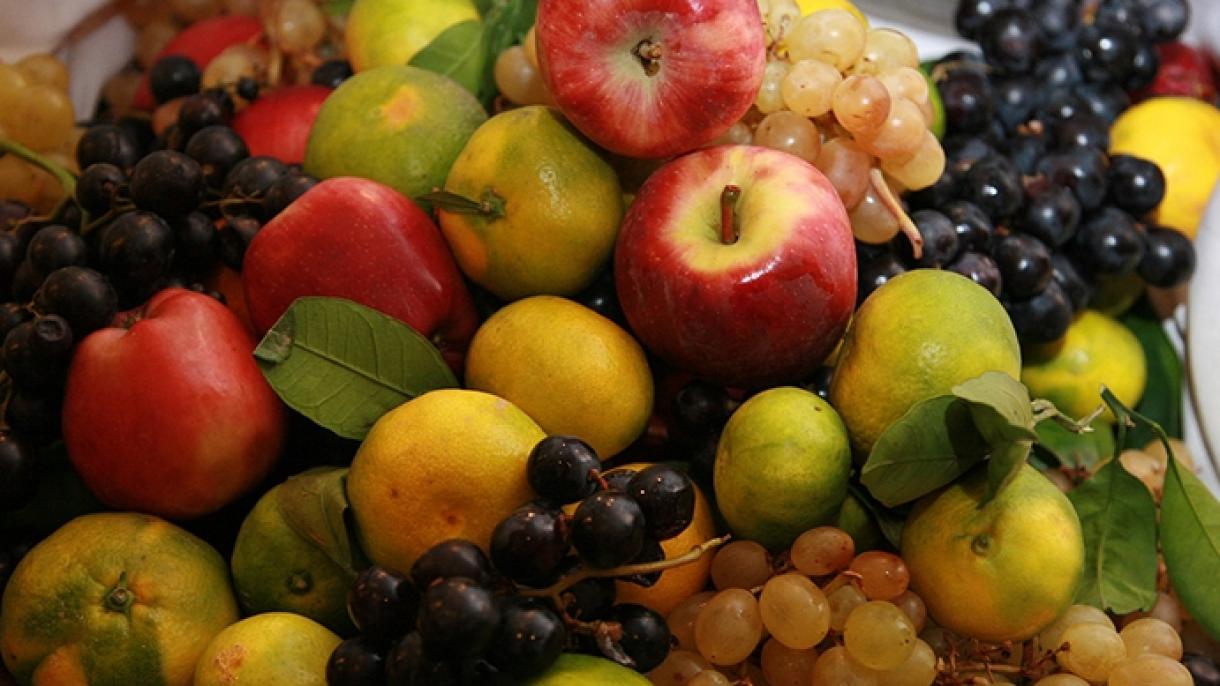 A Rússia foi o maior cliente da Turquia na exportação de frutas e vegetais nos primeiros 7 meses