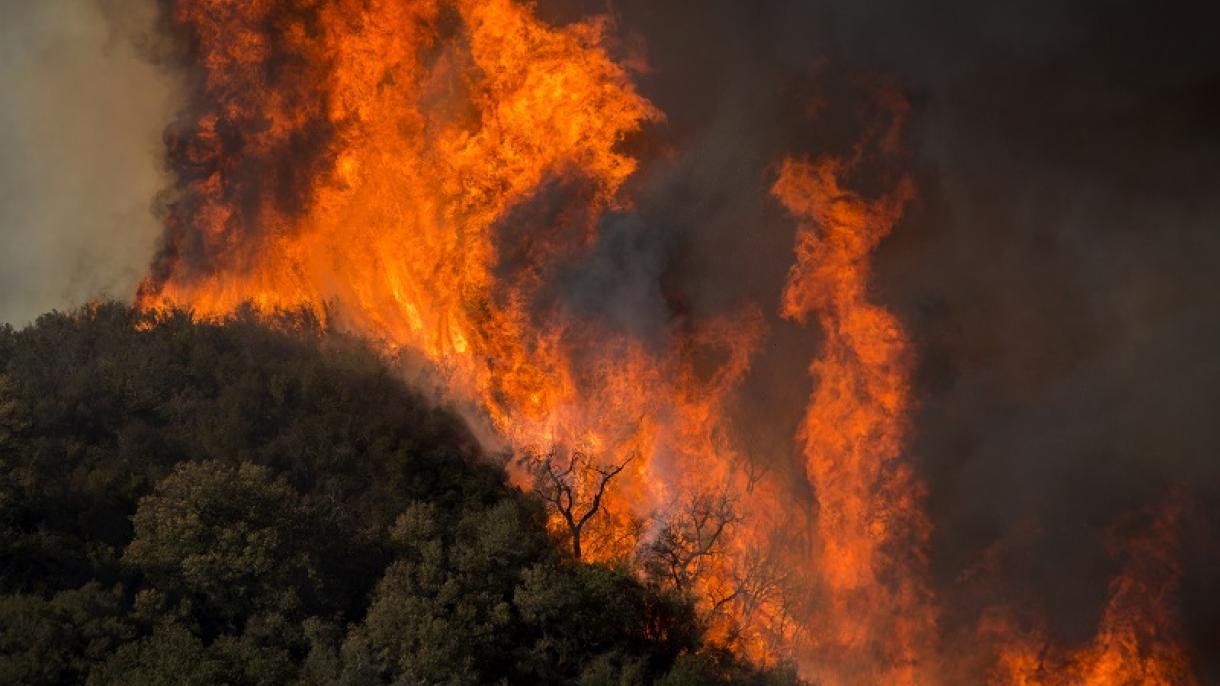 Incêndios devastadores continuam a consumir a Califórnia