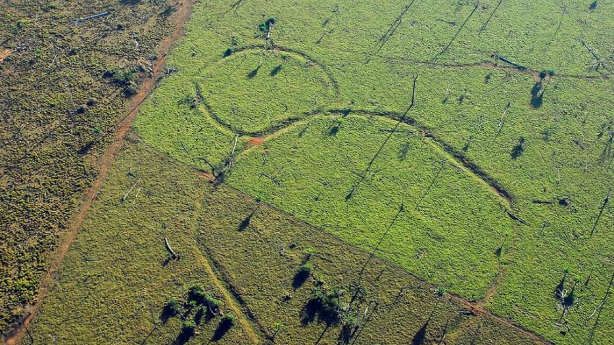 Több mint 450 óriás geoglifát fedeztek fel az Amazonas esőerdőiben