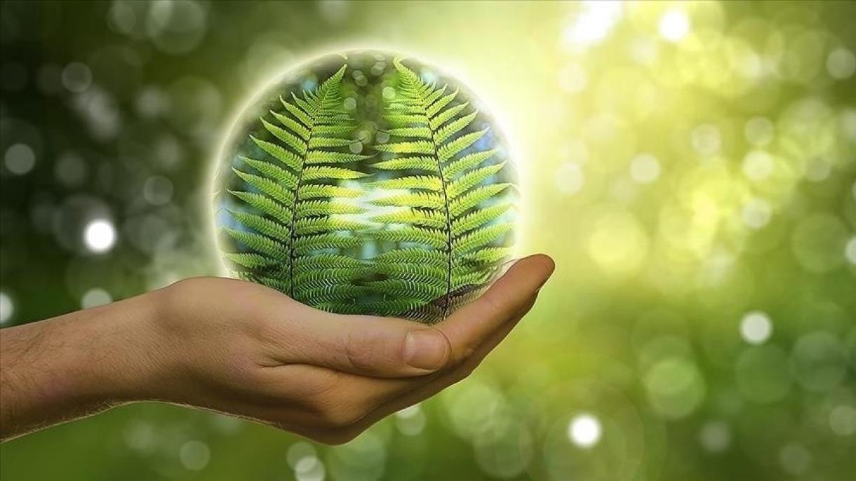 Scienziati australiani scoprono un enzima che produce elettricità dall'idrogeno