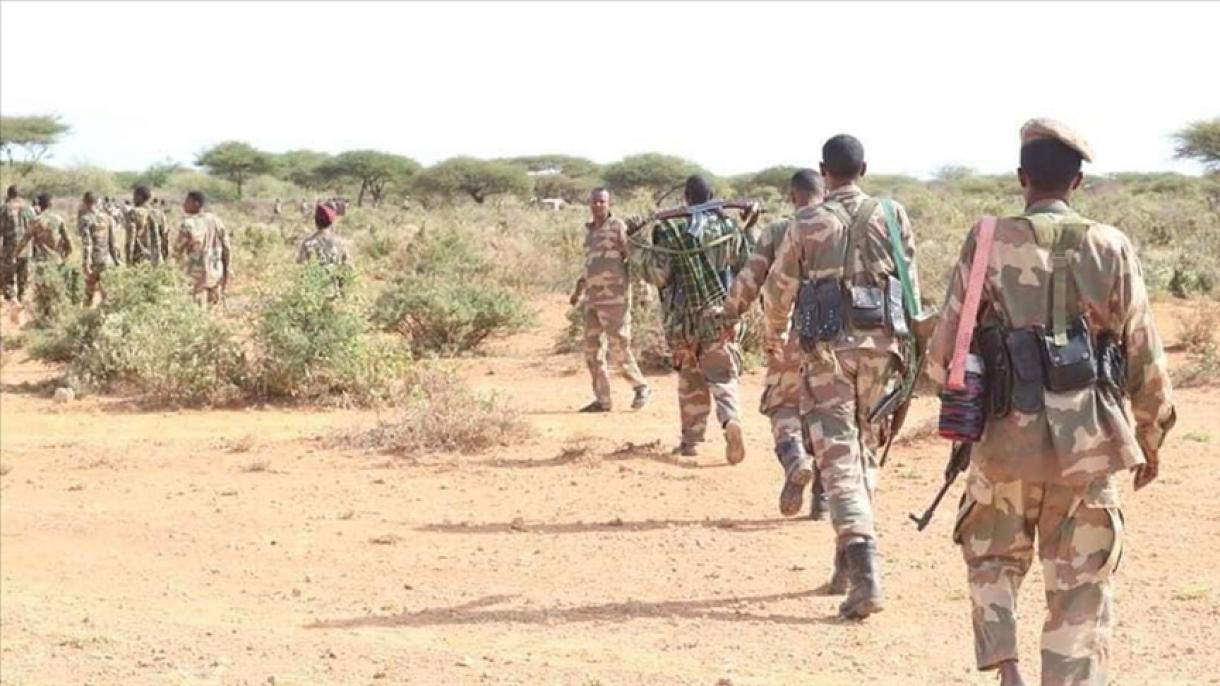 сомалида террорлуқ тәшкилати әшшәбаб әзаси 30 террорчи өлтүрүлди