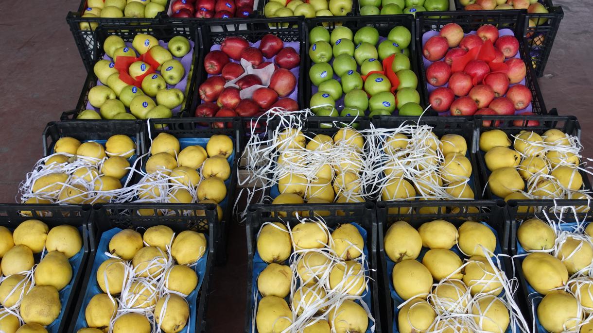 صادرات میوه و سبزیجات تازه از طریق باربری هوایی