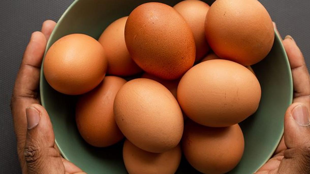 新事物总是美好的10：鸡蛋是否能保持长时间饱腹感？