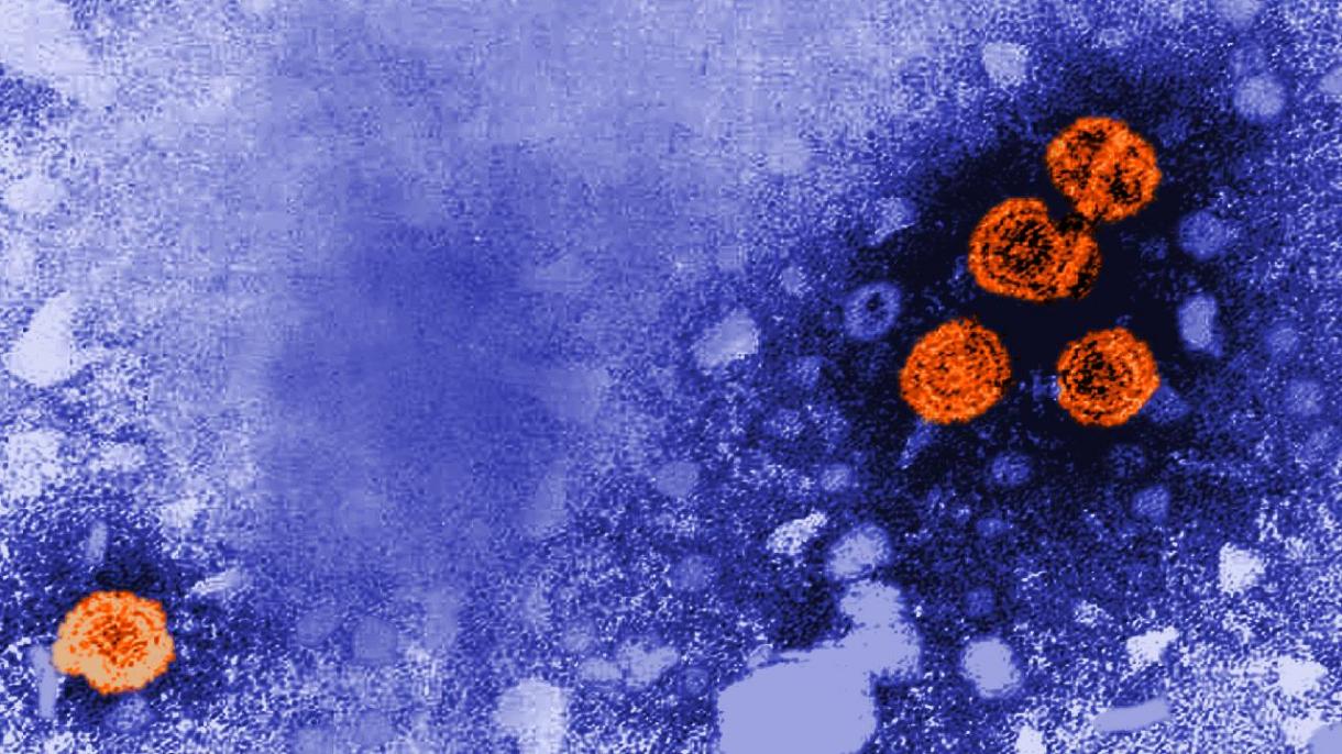 Új világjárvány lehetőségét rejti az ismeretlen eredetű hepatitisz fertőzés