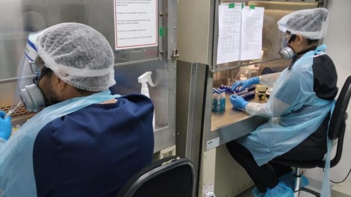 Chile: Ministerio de Salud confirmó el primer caso de la nueva cepa de coronavirus en el país
