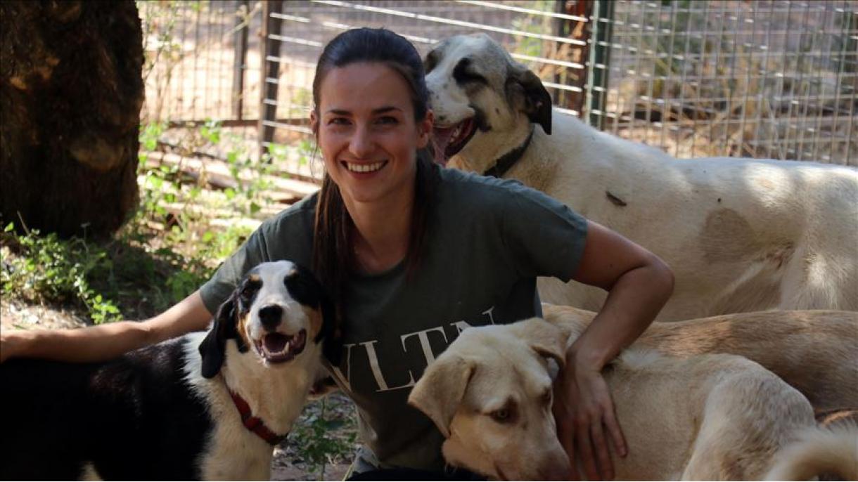 Holandesa encontra amor na Turquia e agora cuida de animais abandonados