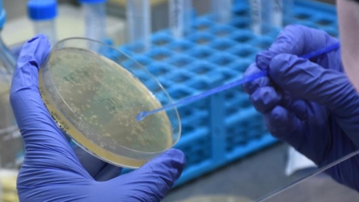 Új adatok a koronavírus-járványról