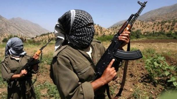 法国反对PKK组织被从恐怖名单移除