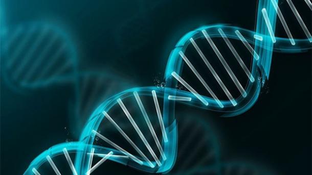 Турци ще изследват древна митохондриална ДНК