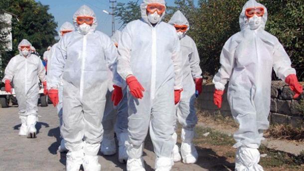 A WHO figyelemmel kíséri az intő jeleket a madárinfluenza terjedésénél