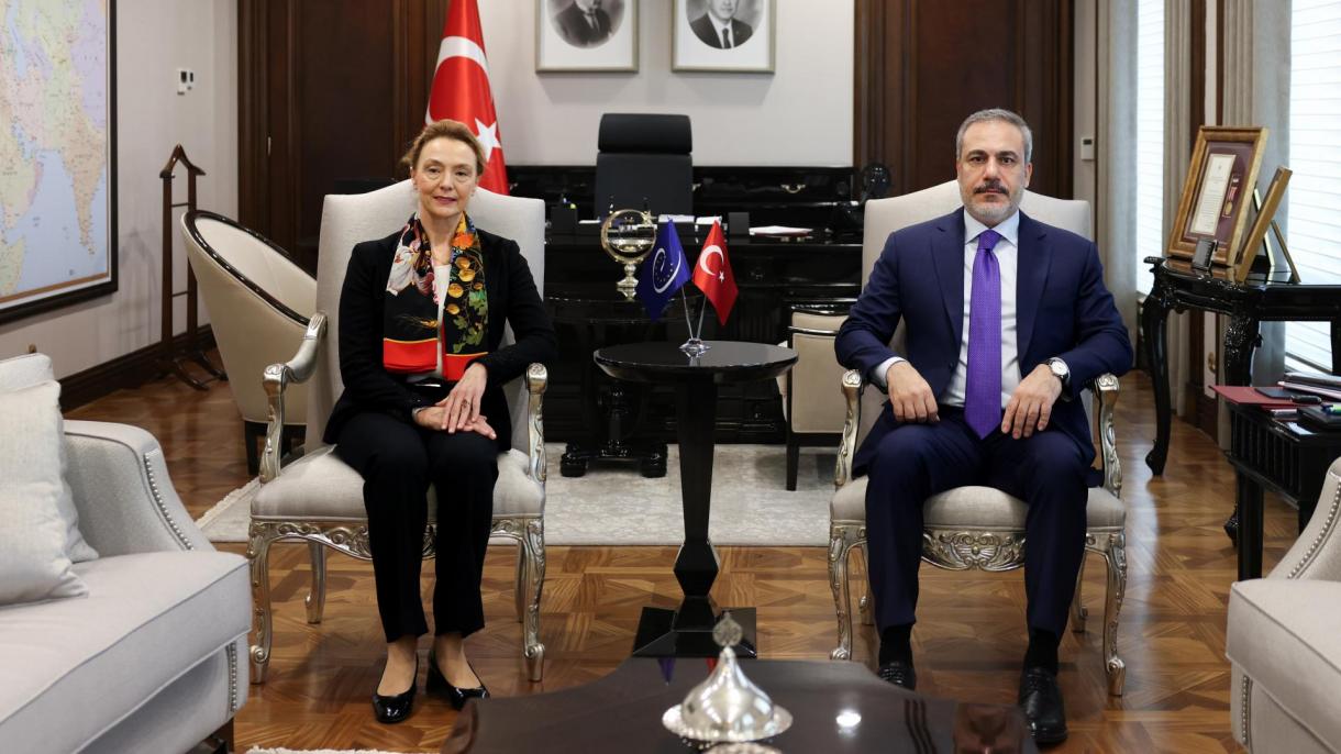 土耳其外长会见会见欧洲委员会秘书长