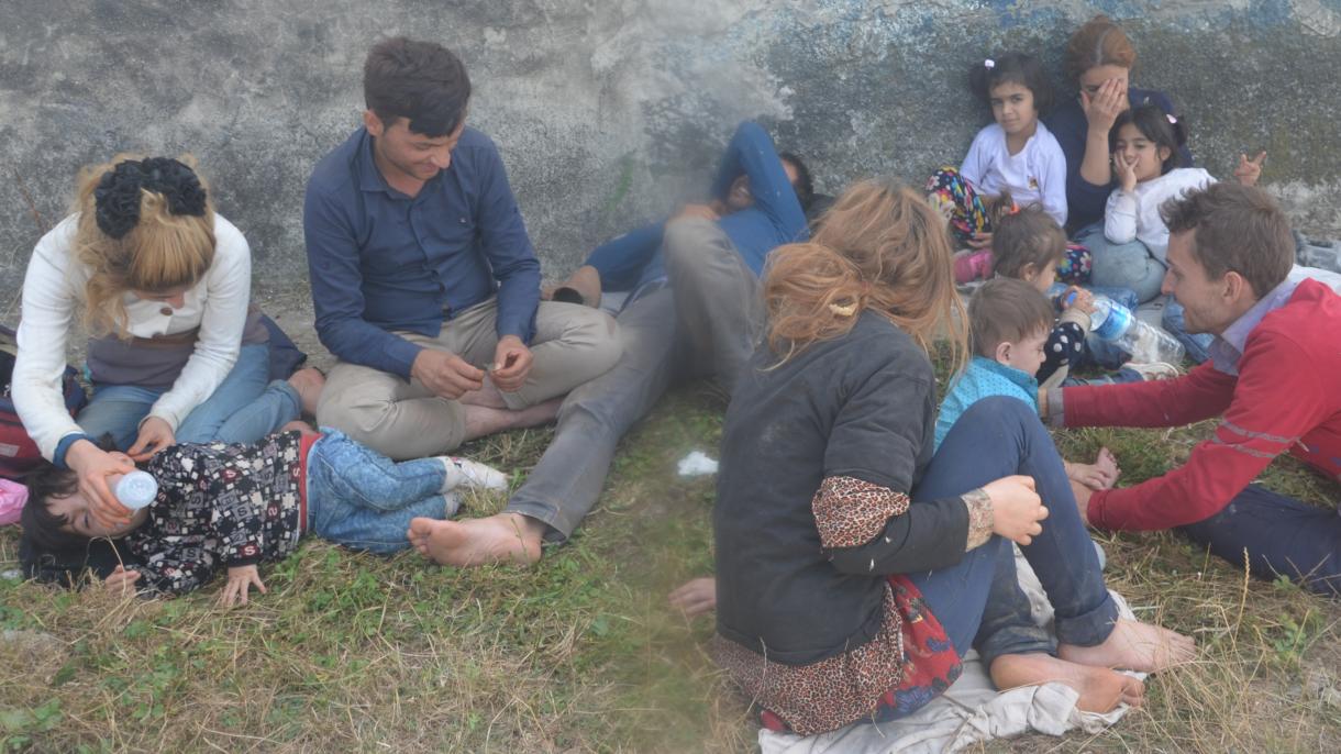 ترکیه ده 270 کیشی مهاجر اوشلندی