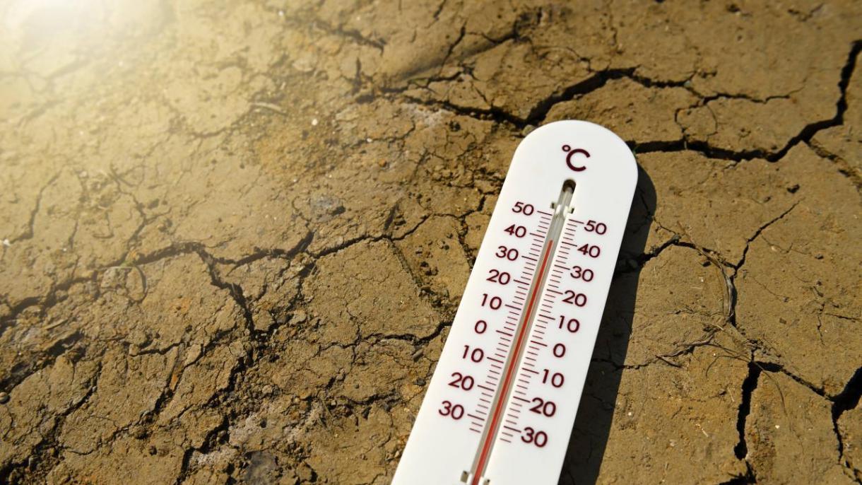 Se registran temperaturas de récord en enero en España