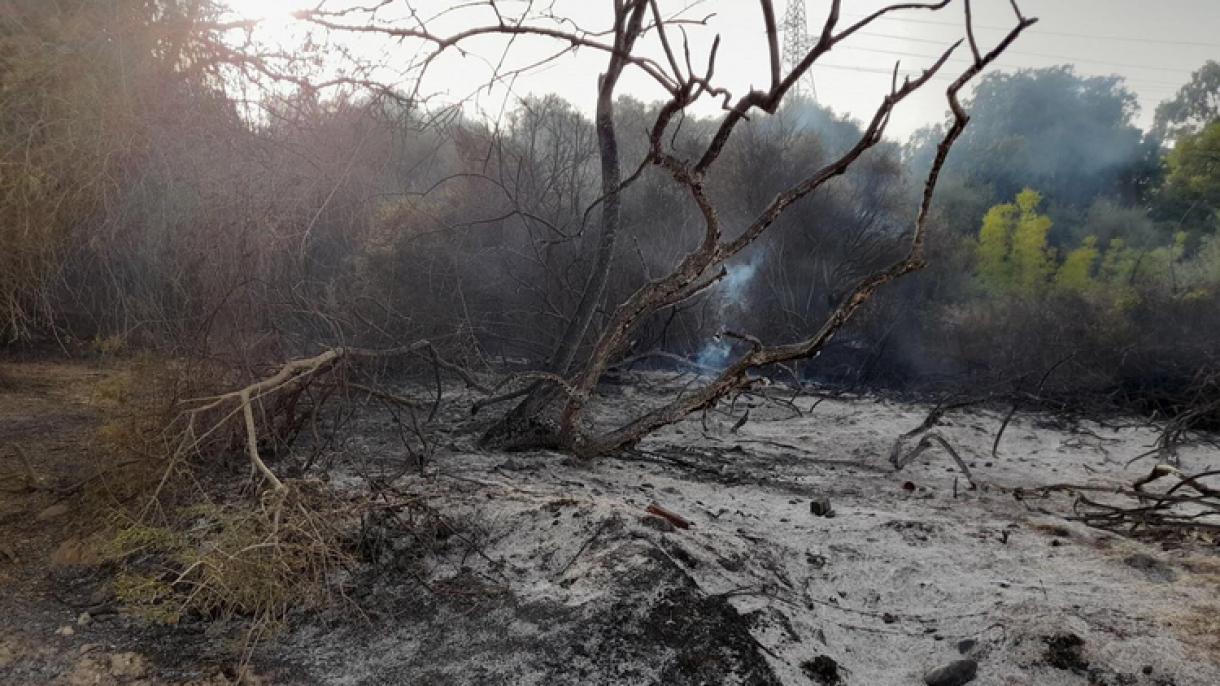 Incêndios florestais na Argélia provocaram 26 mortos